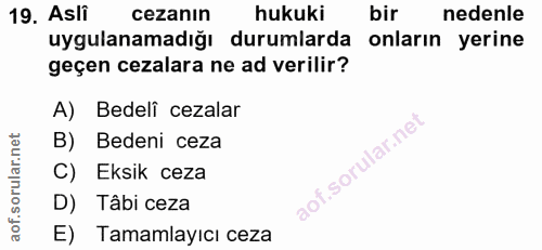 19. soru: Asli cezanın hukuki bir nedenle uygulanamadığı durumlarda onların yerine geçen cezalara ne ad verilir? A) Bedeli ceza…