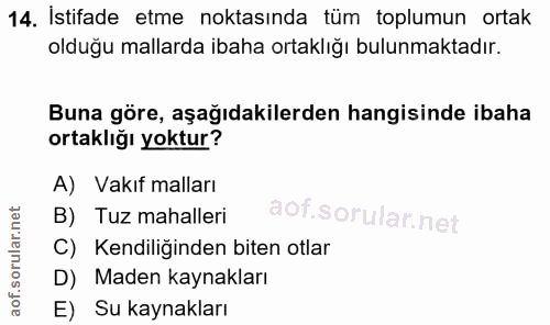 14. soru: İstifade etme noktasında tüm toplumun ortak olduğu mallarda ibaha ortaklığı bulunmaktadır. Buna göre, aşağıdakilerden…