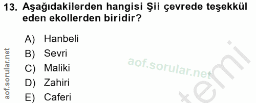 13. soru: Aşağıdakilerden hangisi Şii çevrede teşekkül eden ekollerden biridir? A) Hanbeli B) Sevri C) Maliki D) Zahiri E) Caferi
