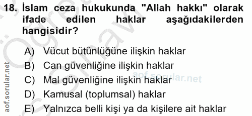 18. soru: Islam ceza hukukunda "Allah hakkı" olarak ifade edilen haklar aşağıdakilerden hangisidir? A) Vücut bütünlüğüne ilişki…