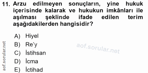 11. soru: Arzu edilmeyen sonuçların, yine hukuk içerisinde kalarak ve hukukun imkânları ile aşılması şeklinde ifade edilen teri…