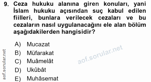 9. soru: Ceza hukuku alanına giren konuları, yani İslam hukuku açısından suç kabul edilen fiilleri, bunlara verilecek cezaları…