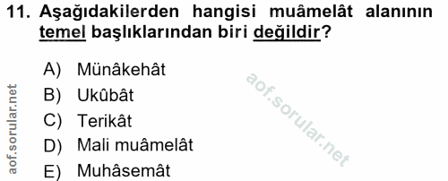 11. soru: Aşağıdakilerden hangisi muâmelât alanının temel başlıklarından biri değildir? A) Münâkehât B) Ukûbât C) Terikât D) Ma…