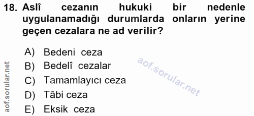18. soru: Asli cezanın hukuki bir nedenle uygulanamadığı durumlarda onların yerine geçen cezalara ne ad verilir? A) Bedeni ceza…