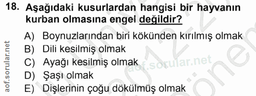 18. soru: Aşağıdaki kusurlardan hangisi bir hayvanın kurban olmasına engel değildir? A) Boynuzlarından biri kökünden kırılmış o…