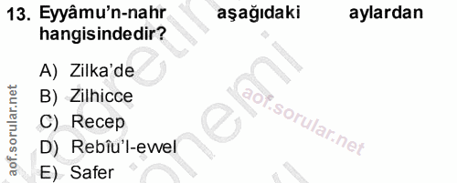 13. soru: Eyyâmu'n-nahr aşağıdaki aylardan hangisindedir? A) Zilka'de B) Zilhicce C) Recep D) Rebîu'l-ewel E) Safer