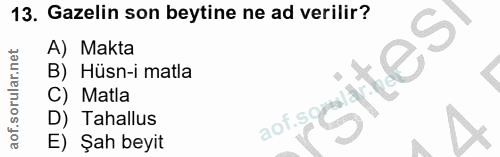 13. soru: Gazelin son beytine ne ad verilir? A) Makta B) Hüsn-i matla aofmitesi C) Matla D) Tahallus E) Şah beyit