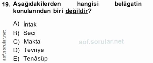 19. soru: Aşağıdakilerden hangisi belâgatin konularından biri değildir? A) Intak B) Seci C) Makta D) Tevriye aof. E) Tenâsüp
