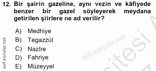 12. soru: Bir şairin gazeline, aynı vezin ve kâfiyede benzer bir gazel söyleyerek meydana getirilen şiirlere ne ad verilir? A)…