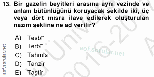 13. soru: Bir gazelin beyitleri arasına aynı vezinde ve anlam bütünlüğünü koruyacak şekilde iki, üç veya dört mısra ilave edile…