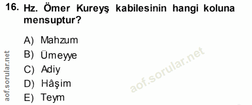 16. soru: Hz. Ömer Kureyş kabilesinin hangi koluna mensuptur? A) Mahzum orular.net B) Ümeyye C) Adiy aof.s D) Hâşim E) Teym