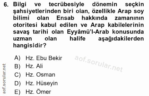 6. soru: Bilgi ve tecrübesiyle dönemin seçkin şahsiyetlerinden biri olan, özellikle Arap soy bilimi olan Ensab hakkında zamanı…