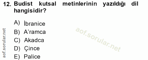 12. soru: Budist kutsal metinlerinin yazıldığı dil hangisidir? A) ibranice B) A'ramca C) Akadca D) Çince E) Palice