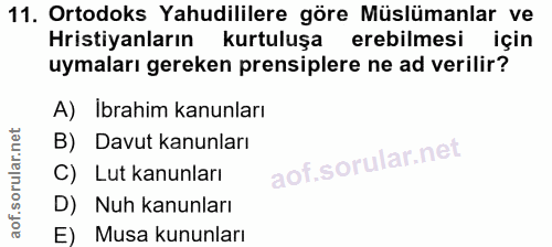 11. soru: Ortodoks Yahudililere göre Müslümanlar ve Hristiyanların kurtuluşa erebilmesi için uymaları gereken prensiplere ne ad…