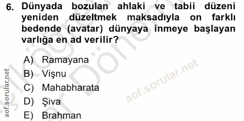 6. soru: Dünyada bozulan ahlaki ve tabii düzeni yeniden düzeltmek maksadıyla on farklı bedende (avatar) dünyaya inmeye başlaya…