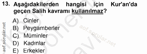 13. soru: Aşağıdakilerden hangisi için Kur'an'da geçen Salih kavramı kullanılmaz? A) Cinler B) Peygamberler ªor C) Müminler .se…