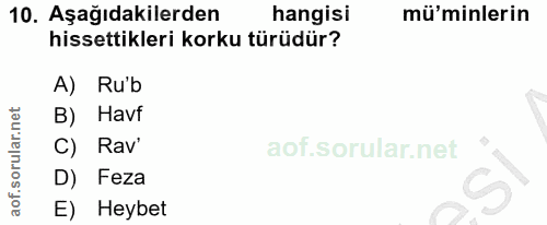 10. soru: Aşağıdakilerden hangisi mü'minlerin hissettikleri korku türüdür? A) Rub B) Havf C) Rav' D) Feza E) Heybet