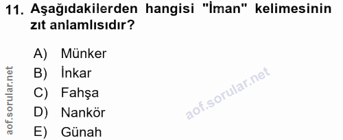 11. soru: Aşağıdakilerden hangisi "İman" kelimesinin zıt anlamlısıdır? A) Münker B) Inkar C) Fahşa D) Nankör E) Günah