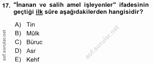 17. soru: "İnanan ve salih amel işleyenler" ifadesinin geçtiği ilk süre aşağıdakilerden hangisidir? A) Tin B) Mülk C) Büruc D)…