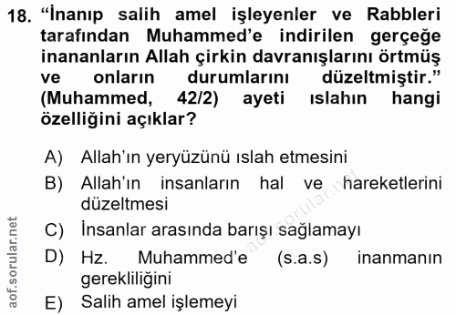 18. soru: "İnanıp salih amel işleyenler ve Rabbleri tarafından Muhammed'e indirilen gerçeğe inananların Allah çirkin davranışla…