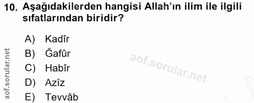 10. soru: Aşağıdakilerden hangisi Allah'ın ilim ile ilgili sıfatlarından biridir? A) Kadir B) Gafür C) Habîr D) Azîz E) Tevvâb