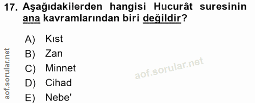 17. soru: Aşağıdakilerden hangisi Hucurât suresinin ana kavramlarından biri değildir? A) Kıst B) Zan C) Minnet D) Cihad E) Nebe'