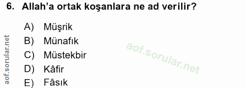 6. soru: Allah'a ortak koşanlara ne ad verilir? A) Müşrik B) Münafik C) Müstekbir D) Kâfir E) Fâsık