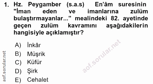 1. soru: Hz. Peygamber (s.a.s) En'âm suresinin "İman eden ve imanlarına zulüm bulaştırmayanlar..." mealindeki 82. ayetinde geç…