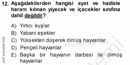 12. soru: Aşağıdakilerden hangisi ayet ve hadisle haram kılınan yiyecek ve içecekler sınıfına dahil değildir? A) Yırtıcı kuşlar…