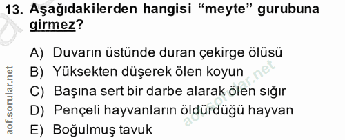 13. soru: Aşağıdakilerden hangisi "meyte" gurubuna girmez? A) Duvarın üstünde duran çekirge ölüsü B) Yüksekten düşerek ölen koy…