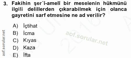 3. soru: Fakihin şer'î-ameli bir meselenin hükmünü ilgili delillerden çıkarabilmek için olanca gayretini sarf etmesine ne ad v…