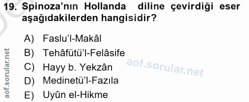 19. soru: Spinoza'nın Hollanda diline çevirdiği eser aşağıdakilerden hangisidir? A) Faslu'l-Makâl B) Tehâfütü'l-Felâsife D) Med…