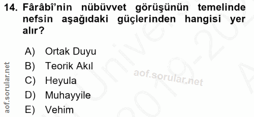 14. soru: Fârâbi'nin nübüvvet görüşünün temelinde nefsin aşağıdaki güçlerinden hangisi yer alır? A) Ortak Duyu B) Teorik Akıl C…