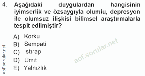 4. soru: Aşağıdaki duygulardan hangisinin iyimserlik ve özsaygıyla olumlu, depresyon ile olumsuz ilişkisi bilimsel araştırmala…