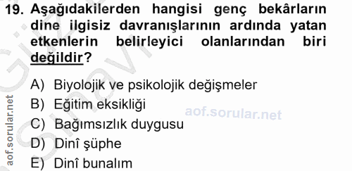 19. soru: Aşağıdakilerden hangisi genç bekârların dine ilgisiz davranışlarının ardında yatan etkenlerin belirleyici olanlarında…