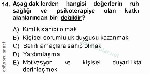 14. soru: Aşağıdakilerden hangisi değerlerin ruh sağlığı ve psikoterapiye olan Katkı alanlarından biri değildir? A) Kimlik sahi…