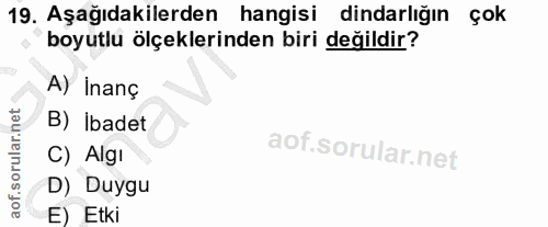 19. soru: Aşağıdakilerden hangisi dindarlığın çok boyutlu ölçeklerinden biri değildir? A) İnanç B) Ibadet C) Algı D) Duygu E) Etki