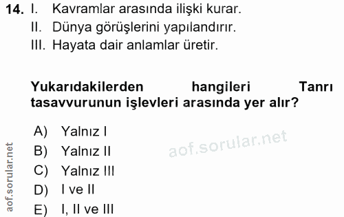 14. soru: I. Kavramlar arasında ilişki kurar. II. Dünya görüşlerini yapılandırır. III. Hayata dair anlamlar üretir. Yukarıdakil…