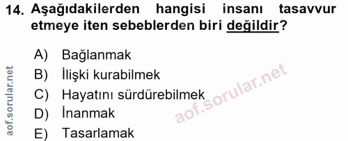 14. soru: Aşağıdakilerden hangisi insanı tasavvur etmeye iten sebeblerden biri değildir? A) Bağlanmak B) İlişki kurabilmek Haya…