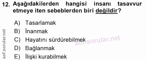 12. soru: Aşağıdakilerden hangisi insanı tasavvur etmeye iten sebeblerden biri değildir? A) Tasarlamak B) Inanmak c) Hayatını s…
