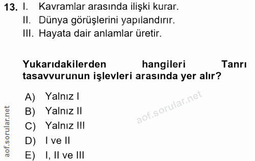 13. soru: I. Kavramlar arasında ilişki kurar. II. Dünya görüşlerini yapılandırır. III. Hayata dair anlamlar üretir. Yukarıdakil…