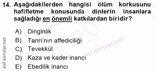 14. soru: Aşağıdakilerden hangisi ölüm korkusunu hafifletme konusunda dinlerin insanlara sağladığı en önemli katkılardan biridi…
