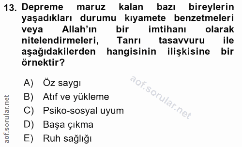 13. soru: Depreme maruz kalan bazı bireylerin yaşadıkları durumu kıyamete benzetmeleri veya Allah'in bir imtihanı olarak nitele…