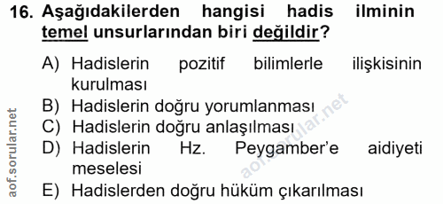16. soru: Aşağıdakilerden hangisi hadis ilminin temel unsurlarından biri değildir? A) Hadislerin pozitif bilimlerle ilişkisinin…