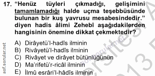 17. soru: "Henüz tüyleri çıkmadığı, gelişimini tamamlamadığı halde uçma teşebbüsünde bulunan bir kuş yavrusu mesabesindedir." d…