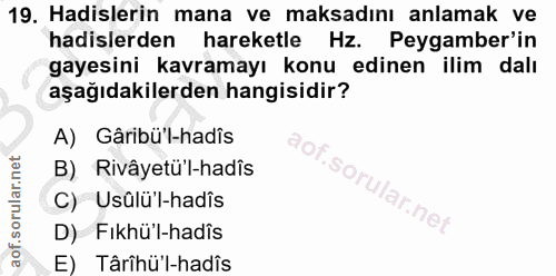 19. soru: Hadislerin mana ve maksadını anlamak ve hadislerden hareketle Hz. Peygamber'in gayesini kavramayı konu edinen ilim da…