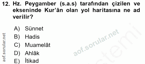 12. soru: Hz. Peygamber (s.a.s) tarafindan çizilen ve ekseninde Kur'ân olan yol haritasına ne ad verilir? A) Sünnet B) Hadis C)…