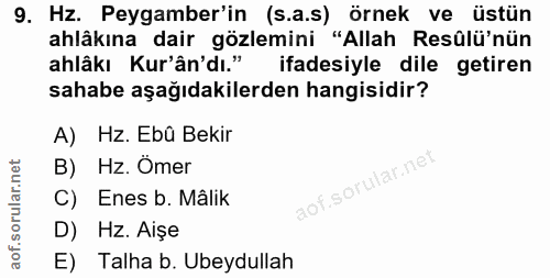 9. soru: Hz. Peygamber'in (s.a.s) örnek ve üstün ahlâkına dair gözlemini "Allah Resûlü'nün ahlâkı Kur'ân'dı." ifadesiyle dile…
