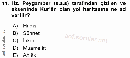 11. soru: Hz. Peygamber (s.a.s) tarafından çizilen ve ekseninde Kur'ân olan yol haritasına ne ad verilir? A) Hadis B) Sünnet C)…