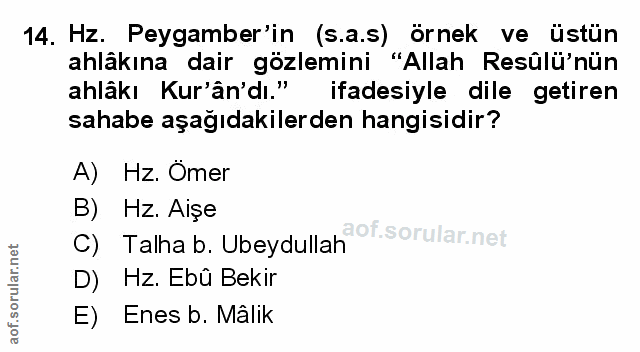 14. soru: Hz. Peygamber'in (s.a.s) örnek ve üstün ahlâkına dair gözlemini "Allah Resûlü'nün ahlâkı Kur'ân'dı." ifadesiyle dile…
